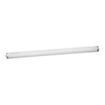 lamp 40W