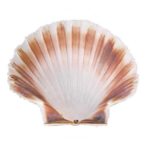 814001_814001_1_63eb